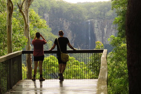 Minyon Falls Rainforest Walk - Holiday Byron Bay 5
