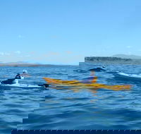 Whale Watching by Sea Kayak in Batemans Bay - Holiday Byron Bay