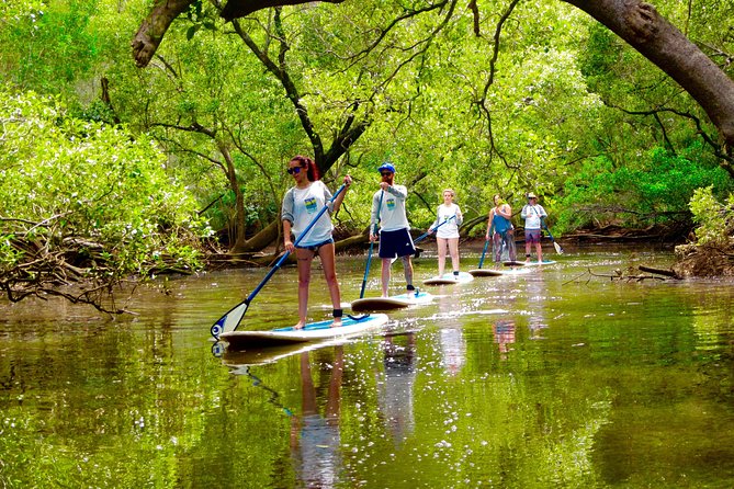 Talofa NSW Holiday Byron Bay