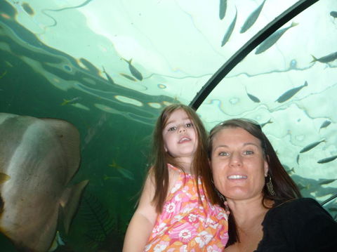 WILD LIFE Sydney Entrance Ticket - Holiday Byron Bay 4