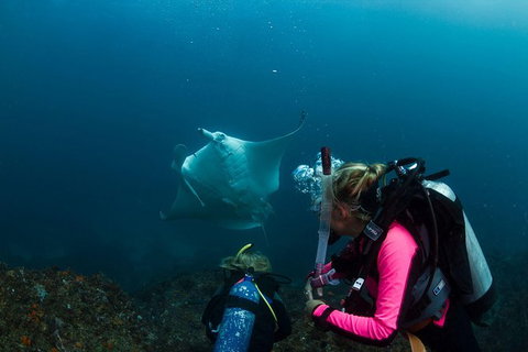 5-Hour Byron Bay Introductory Scuba Diving Tour - Holiday Byron Bay 0