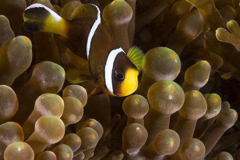 5-Hour Byron Bay Introductory Scuba Diving Tour - Holiday Byron Bay 3