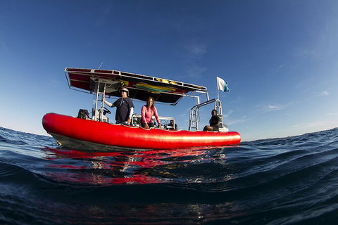 5-Hour Byron Bay Introductory Scuba Diving Tour - Holiday Byron Bay 10