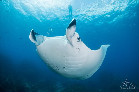 5-Hour Byron Bay Introductory Scuba Diving Tour - Holiday Byron Bay 8