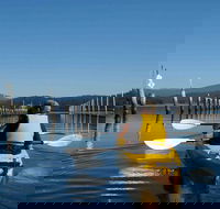 Batemans Bay Oyster Tasting Kayak Tour - Holiday Byron Bay