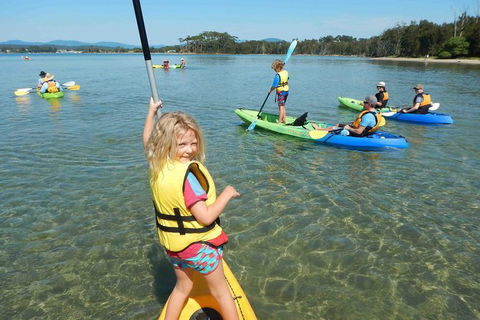 Batemans Bay Glass-Bottom Kayak Tour Over 2 Relaxing Hours - Holiday Byron Bay 0