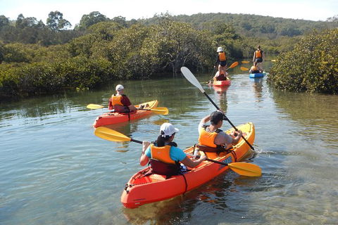 Batemans Bay Glass-Bottom Kayak Tour Over 2 Relaxing Hours - Holiday Byron Bay 4