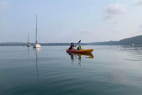 Batemans Bay Glass-Bottom Kayak Tour Over 2 Relaxing Hours - Holiday Byron Bay 7
