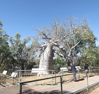 Gregory's Tree Timber Creek - Holiday Byron Bay