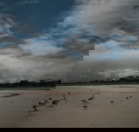 Hardwicke Bay