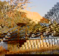 Illamurta Springs Conservation Reserve - Holiday Byron Bay