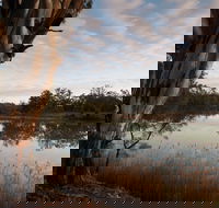 Murray-Kulkyne Regional Park - Holiday Byron Bay