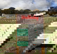 The Wallaby Track