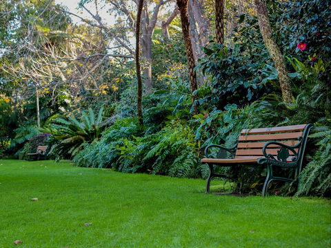 EG Waterhouse National Camellia Gardens - Holiday Byron Bay 0