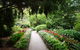 EG Waterhouse National Camellia Gardens - thumb 1