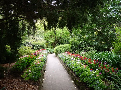 EG Waterhouse National Camellia Gardens - Holiday Byron Bay 1