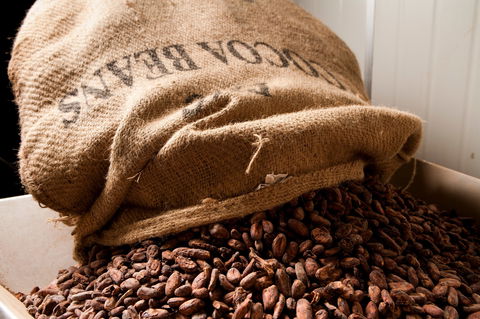 Haigh's Chocolates Visitor Centre - Holiday Byron Bay 2