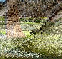 Leaghur State Park - Holiday Byron Bay