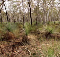 Livingstone National Park - Holiday Byron Bay