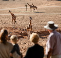 Monarto Safari Park - Holiday Byron Bay