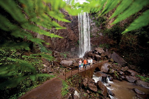 Queen Mary Falls Circuit, Main Range National Park - Holiday Byron Bay 0