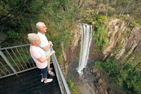 Queen Mary Falls Circuit, Main Range National Park - Holiday Byron Bay 1