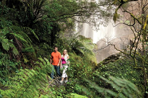 Queen Mary Falls Circuit, Main Range National Park - Holiday Byron Bay 2