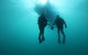 The Arches Marine Sanctuary - thumb 0