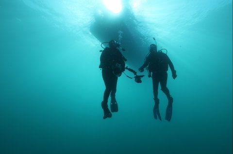 The Arches Marine Sanctuary - Holiday Byron Bay 0