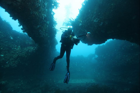 The Arches Marine Sanctuary - Holiday Byron Bay 1