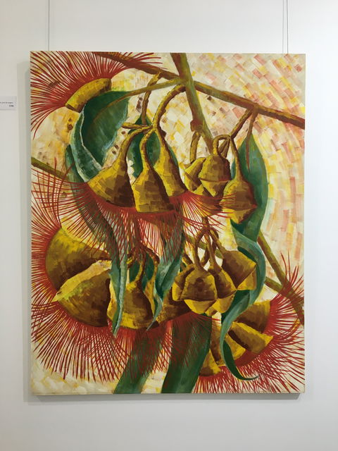 Wacky Bird Gallery - Holiday Byron Bay 1