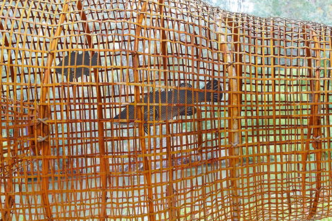 Wagirra Trail And Yindyamarra Sculpture Walk - Holiday Byron Bay 2