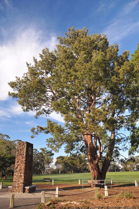 Wattle Park - Holiday Byron Bay 2