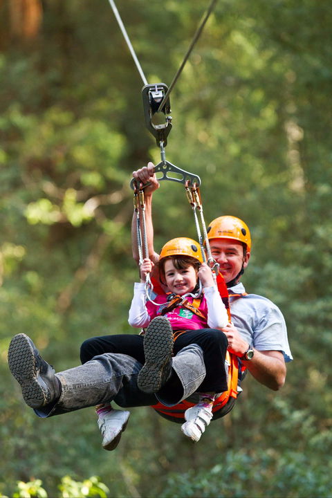Zipline At Illawarra Fly - Holiday Byron Bay 0