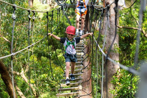 Zipline At Illawarra Fly - Holiday Byron Bay 1