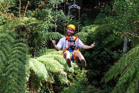 Zipline At Illawarra Fly - Holiday Byron Bay 2