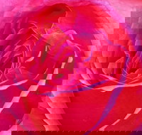 Abandon Stress Mobile Massage - Holiday Byron Bay