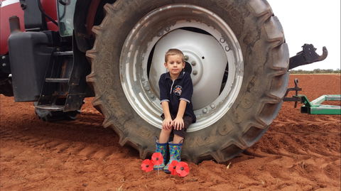 Alice Springs School Of The Air Visitor Centre - Holiday Byron Bay 2