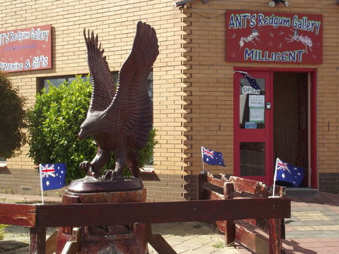 Ant's Redgum Gallery - Holiday Byron Bay 0
