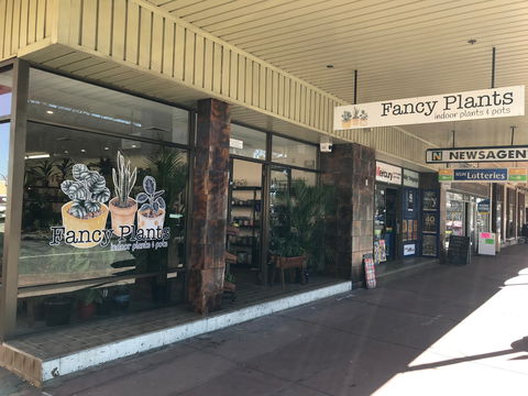Fancy Plants - Holiday Byron Bay 1