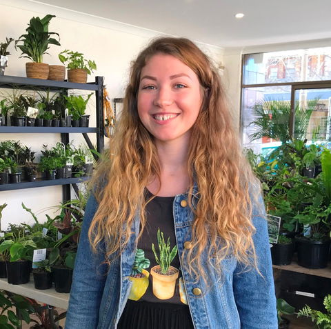 Fancy Plants - Holiday Byron Bay 2