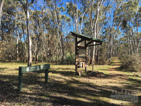 Kaiserstuhl Conservation Park - Holiday Byron Bay 0