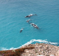Nullarbor National Park - Holiday Byron Bay