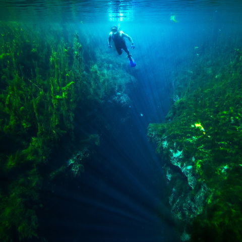 Piccaninnie Ponds Conservation Park - Holiday Byron Bay 0