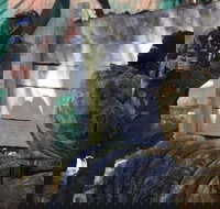 Skirmish Sunshine Coast Outdoor Paintball