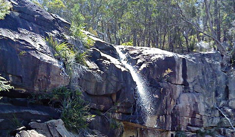 Ugly Corner Falls Walking Track - Holiday Byron Bay 0