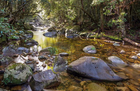 Washpool Walking Track - Holiday Byron Bay 0