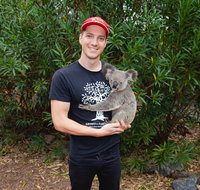 Cooberrie Park Wildlife Sanctuary - Holiday Byron Bay