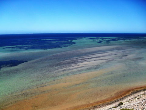 Eagle Bluff - Holiday Byron Bay 2