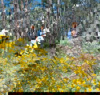 Gidgegannup - Holiday Byron Bay